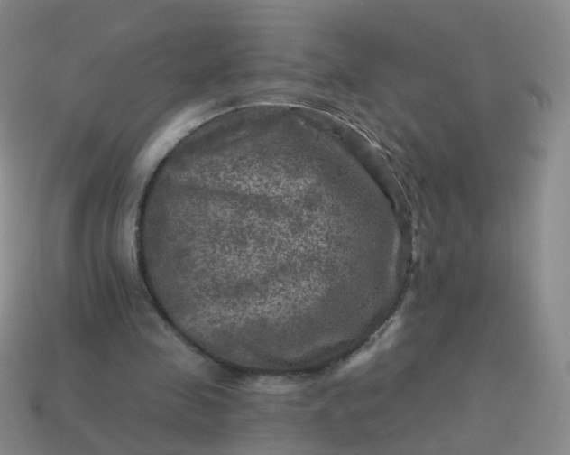 X0000113860341200910081710