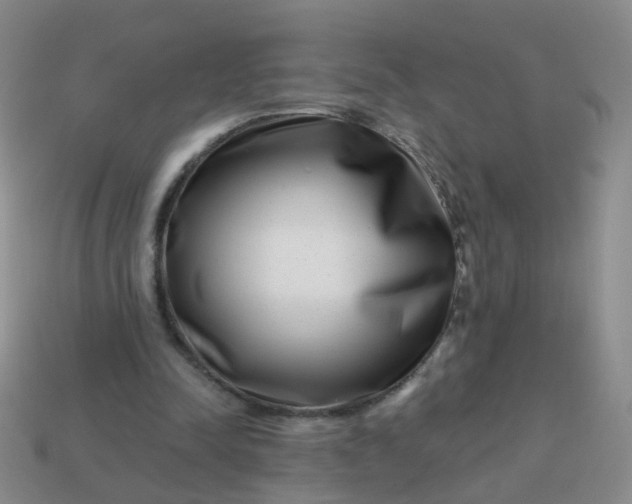 X0000113860342200910081710