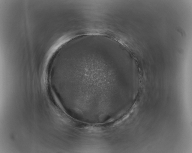 X0000113860343200910081710