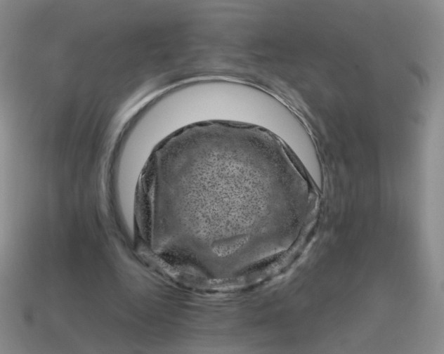 X0000113860344200910081710