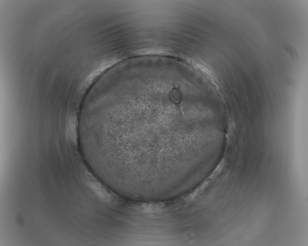 X0000113860345200910081710