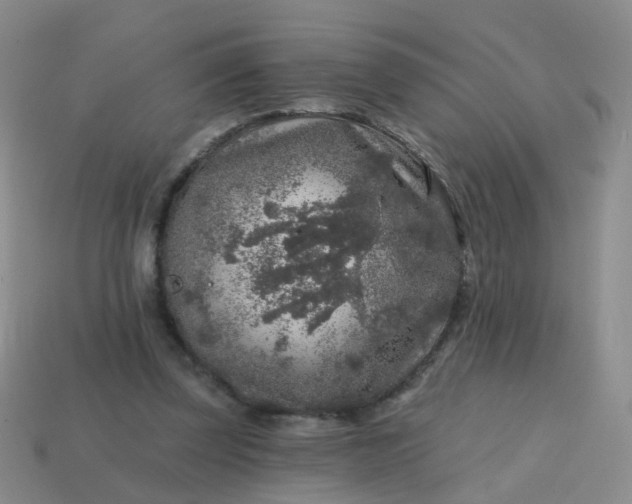 X0000113860347200910081711