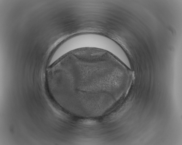 X0000113860348200910081711