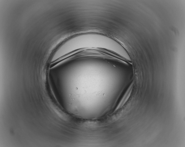X0000113860350200910081711