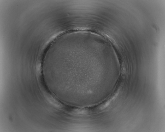 X0000113860351200910081711
