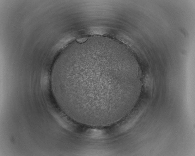 X0000113860352200910081711