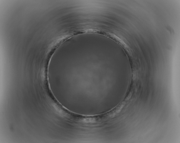 X0000113860353200910081711