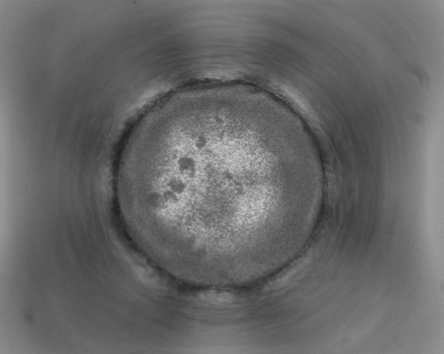 X0000113860354200910081711