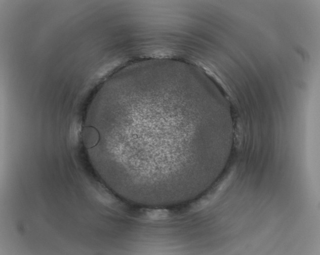 X0000113860355200910081711