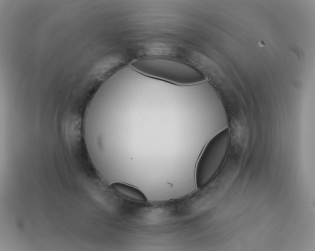 X0000113860356200910081711