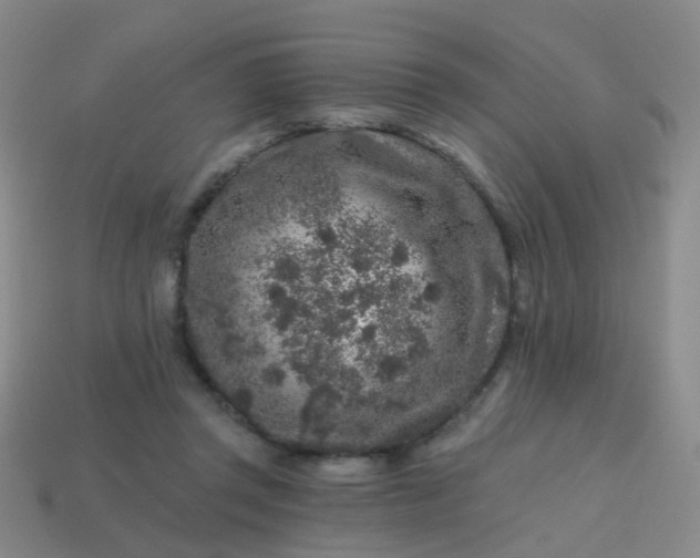 X0000113860357200910081711