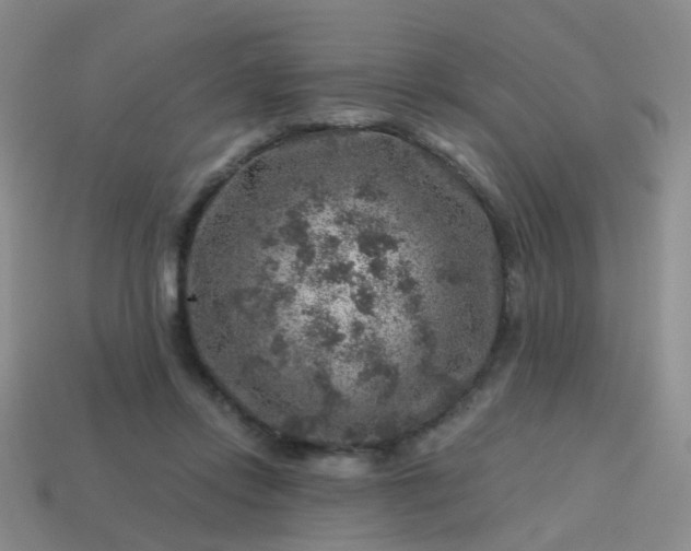 X0000113860358200910081711