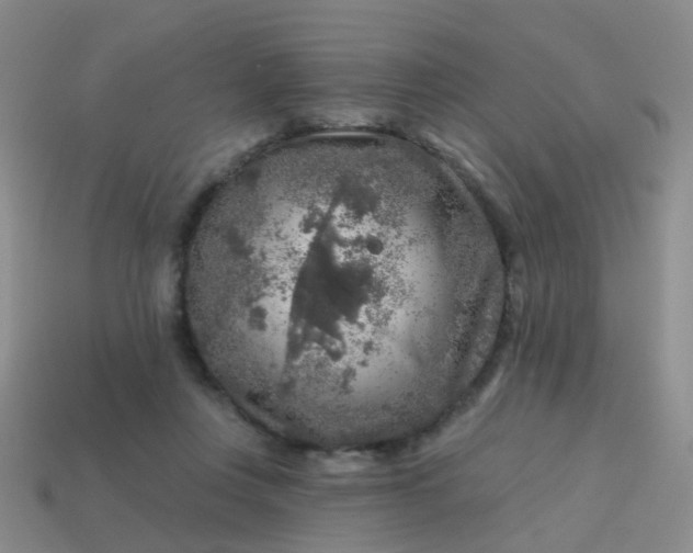 X0000113860359200910081711