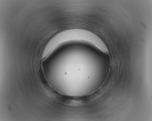 X0000113860360200910081711