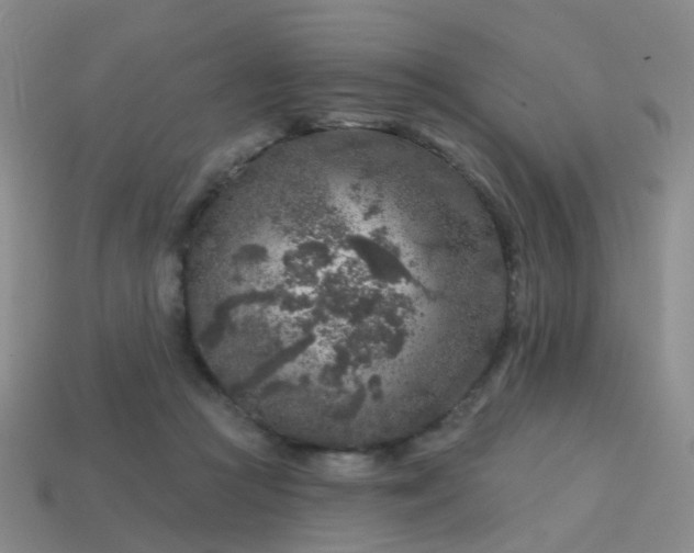 X0000113860361200910081711