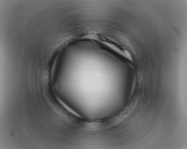 X0000113860362200910081711