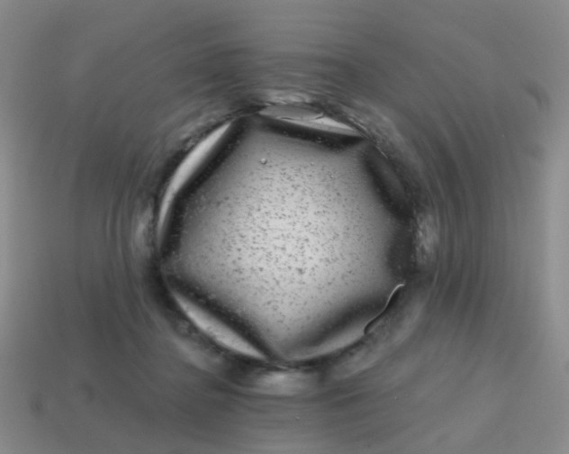 X0000113860364200910081711