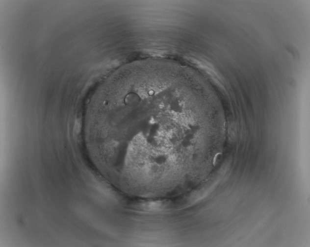 X0000113860365200910081711