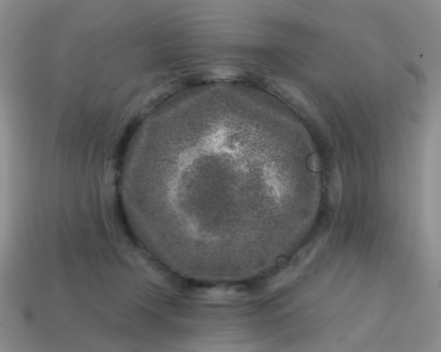 X0000113860366200910081711