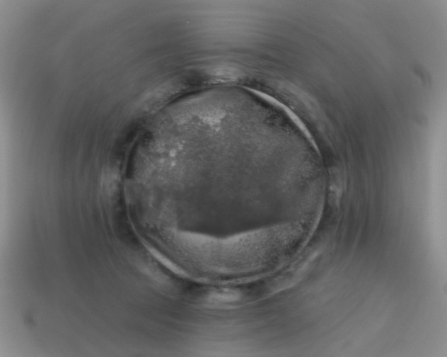 X0000113860369200910081711