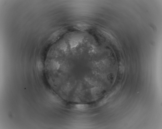 X0000113860371200910081711