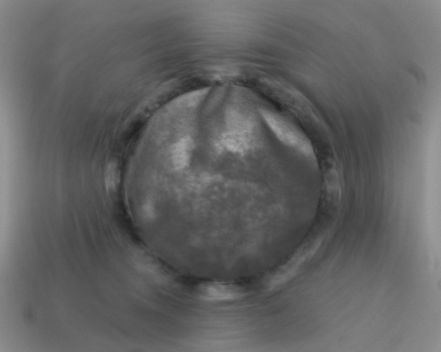 X0000113860372200910081711