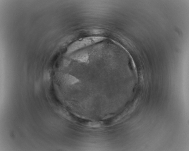 X0000113860373200910081711