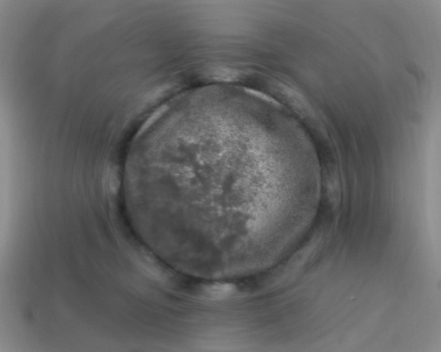 X0000113860374200910081711