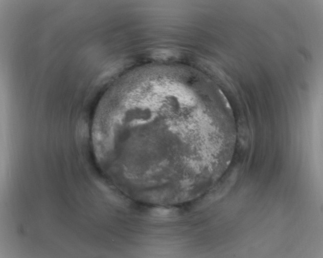 X0000113860375200910081711