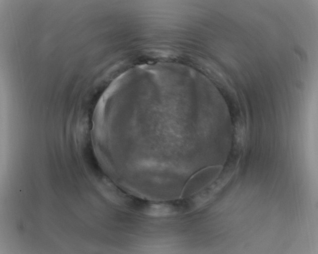 X0000113860376200910081711