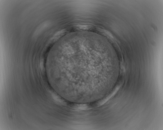 X0000113860377200910081711