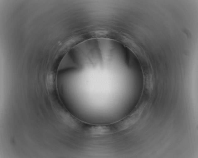 X0000113860378200910081711