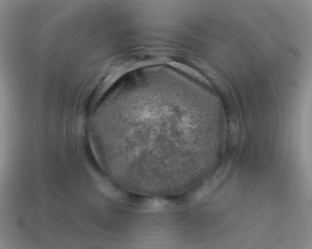 X0000113860379200910081711