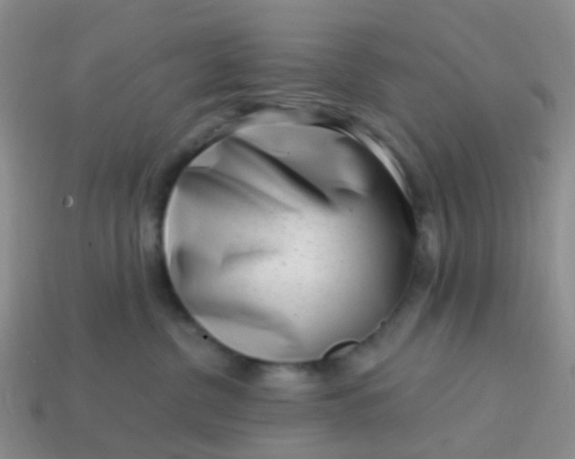 X0000113860380200910081711