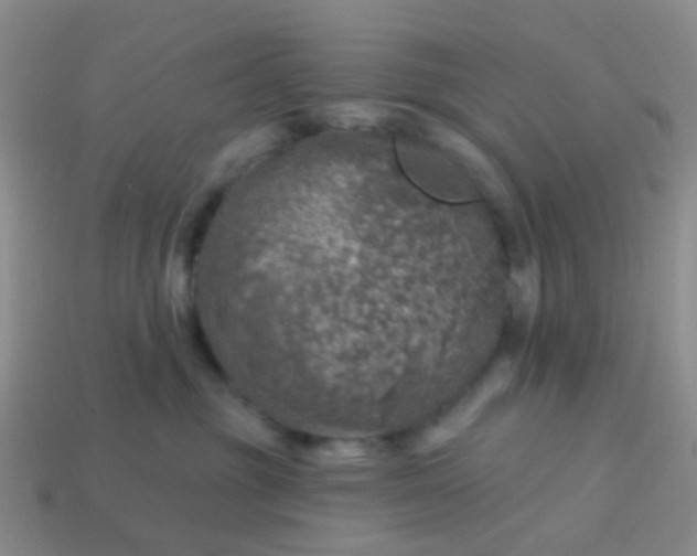X0000113860381200910081711