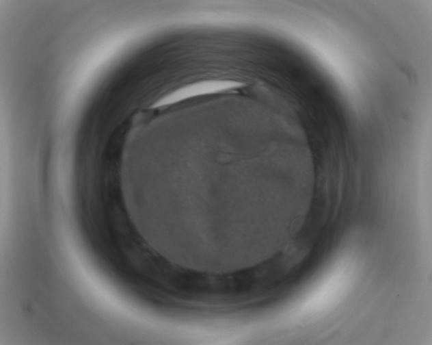 X0000113860383200910081711