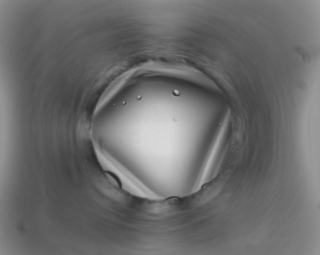 X0000113860384200910081711