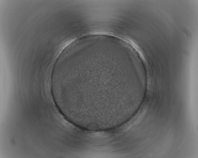X0000113860385200910081710