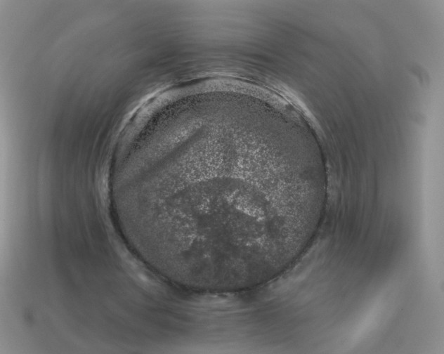 X0000113860386200910081710
