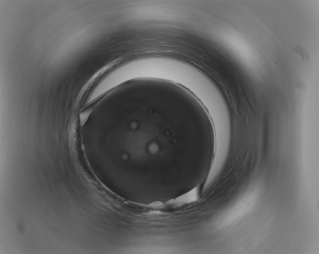 X0000113860387200910081710