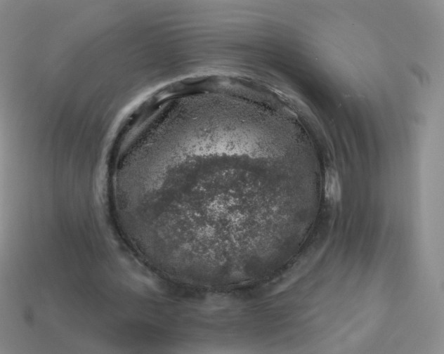 X0000113860388200910081710