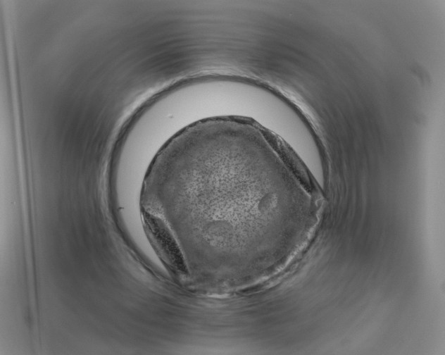 X0000113860391200910081710