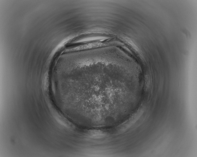 X0000113860392200910081710