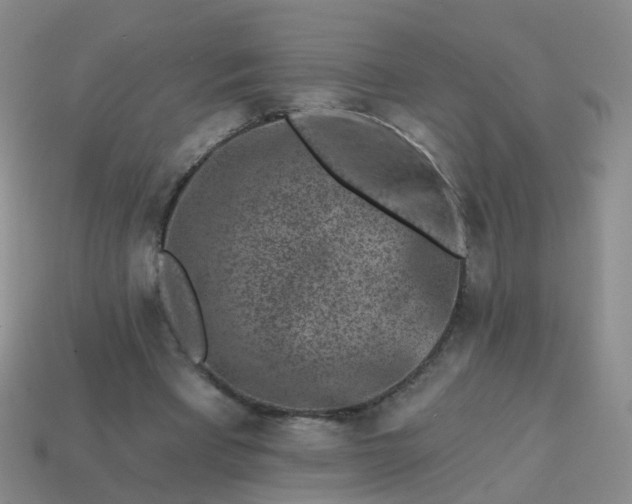 X0000113860393200910081710