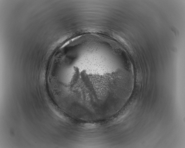 X0000113860394200910081710