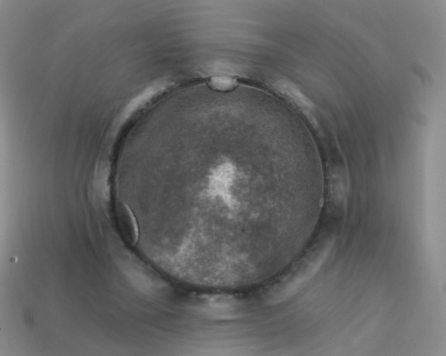 X0000113860395200910081710