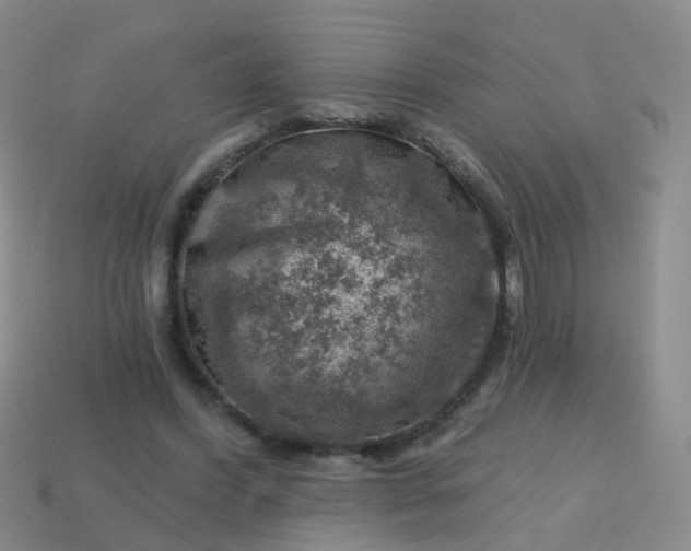 X0000113860396200910081710