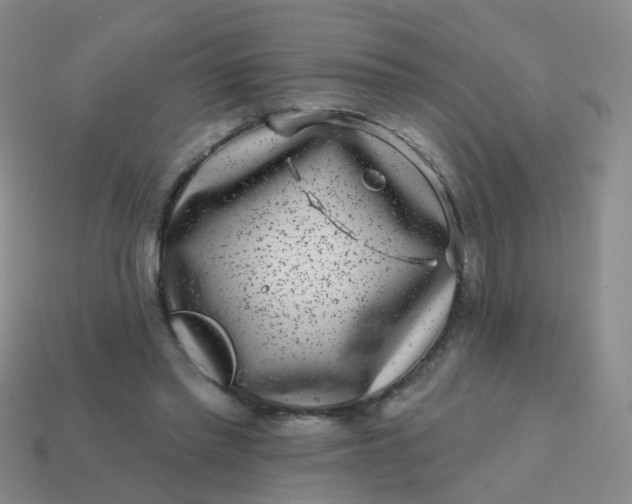 X0000113860397200910081710