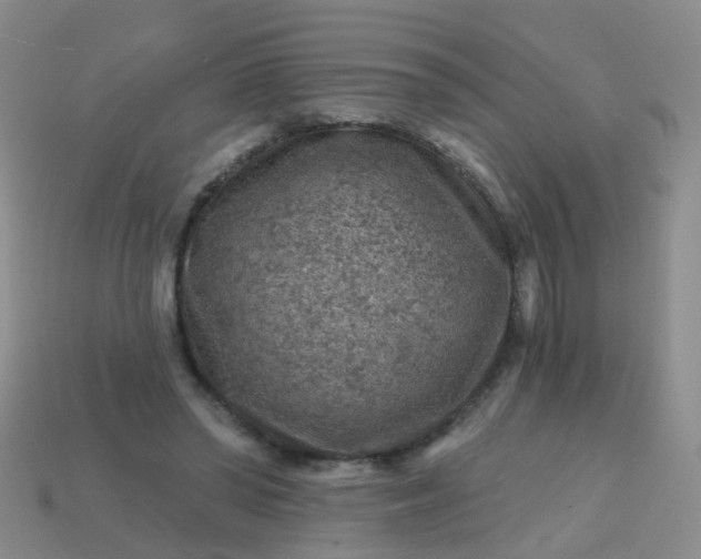 X0000113860398200910081710