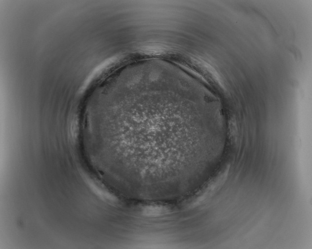 X0000113860400200910081710